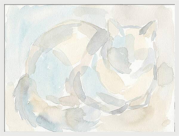 Ragdoll Cat In Soft Hues