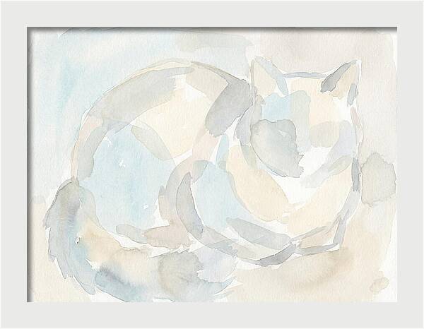 Ragdoll Cat In Soft Hues