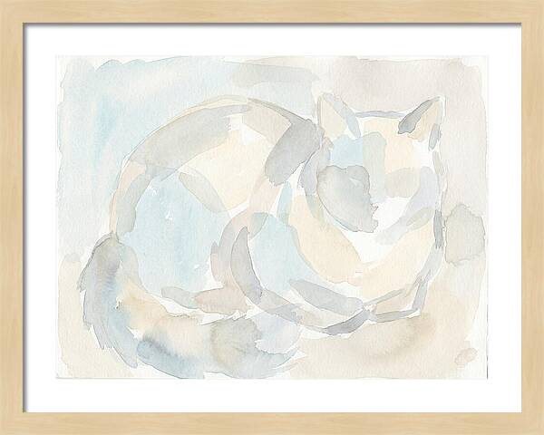 Ragdoll Cat In Soft Hues