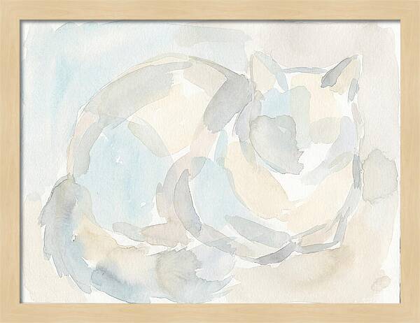 Ragdoll Cat In Soft Hues