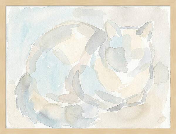 Ragdoll Cat In Soft Hues