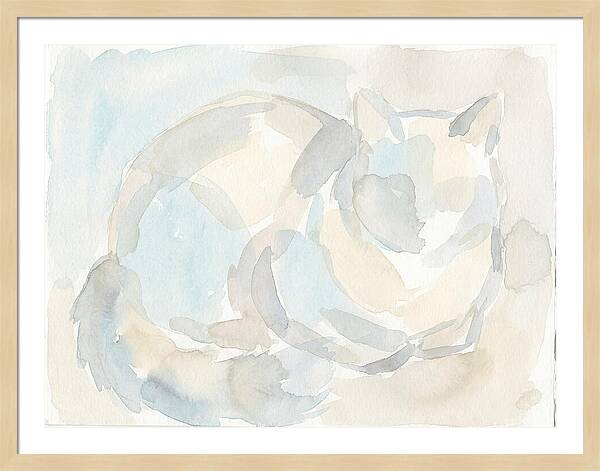 Ragdoll Cat In Soft Hues