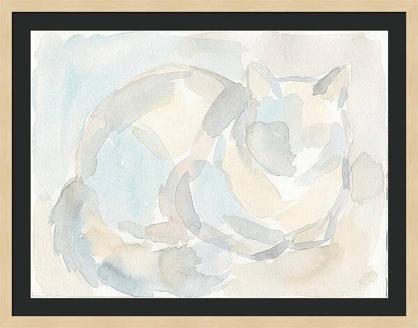 Ragdoll Cat In Soft Hues