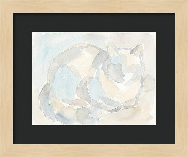 Ragdoll Cat In Soft Hues