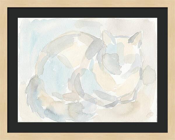 Ragdoll Cat In Soft Hues