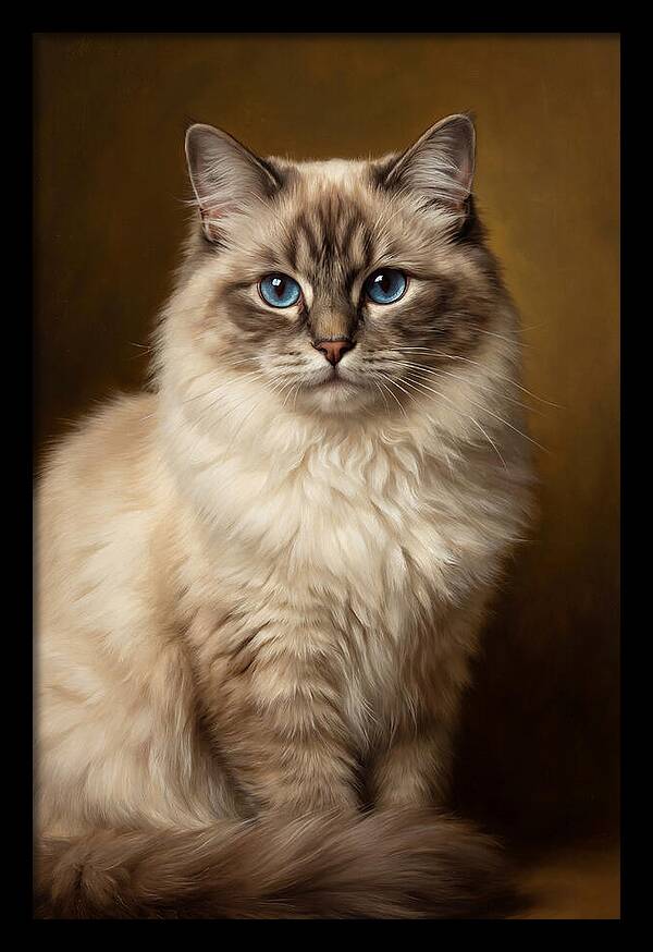 Ragdoll Cat Portrait