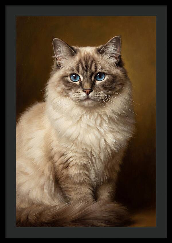 Ragdoll Cat Portrait