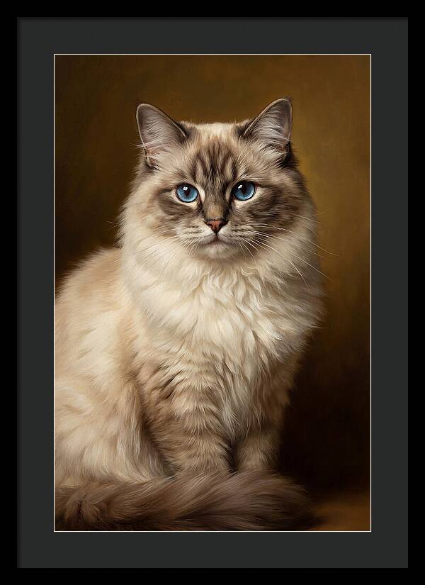Ragdoll Cat Portrait
