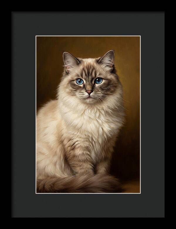 Ragdoll Cat Portrait