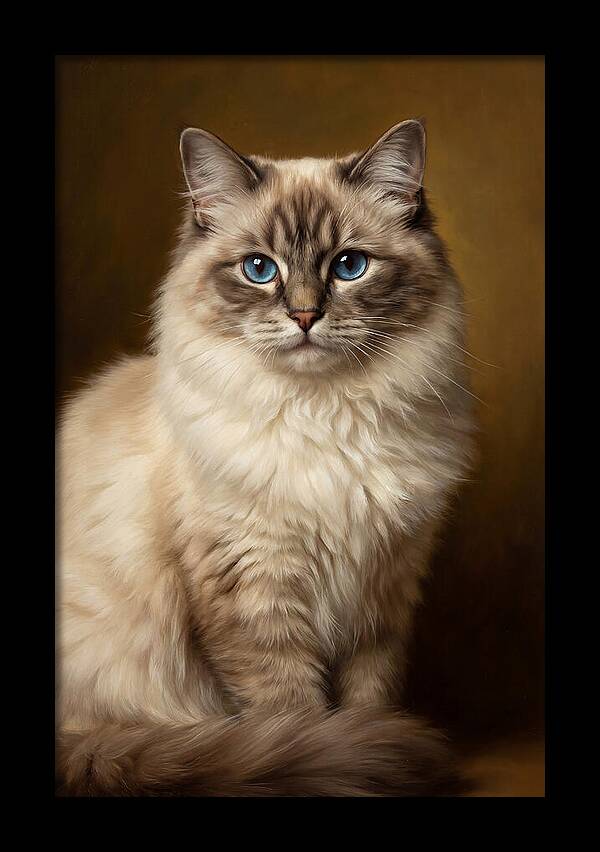 Ragdoll Cat Portrait