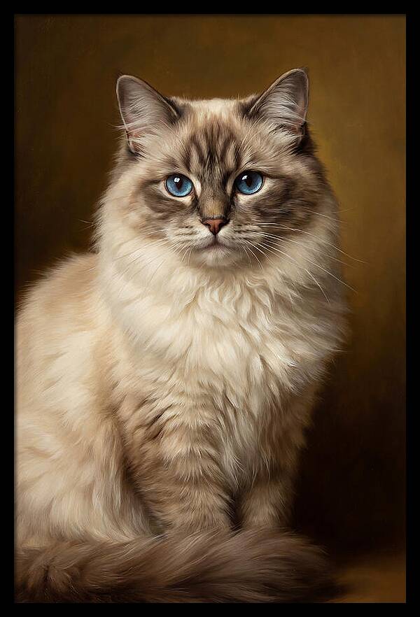 Ragdoll Cat Portrait