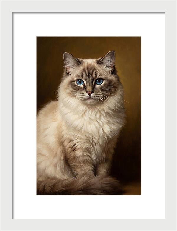 Ragdoll Cat Portrait