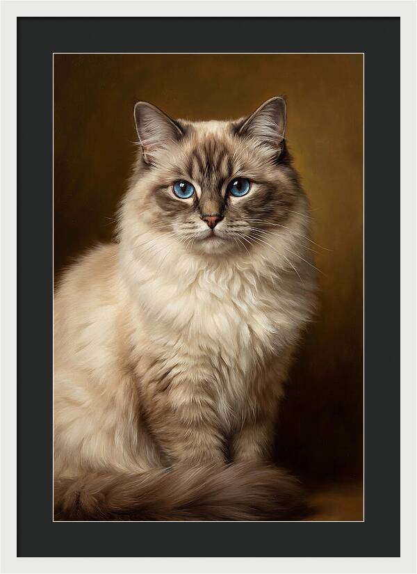 Ragdoll Cat Portrait