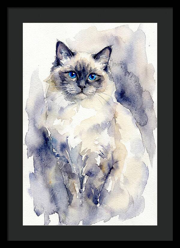 Ragdoll Cat Watercolor Portrait