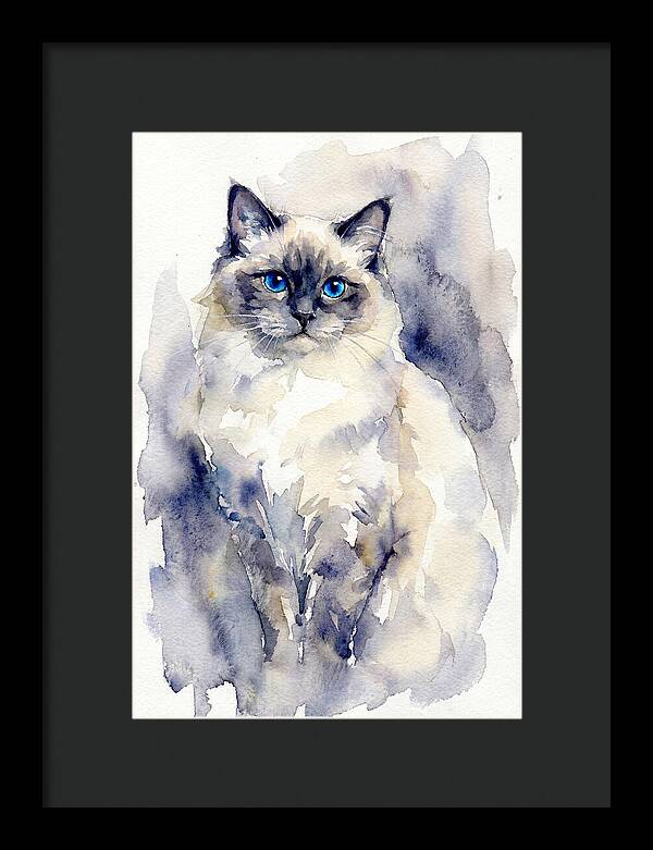 Ragdoll Cat Watercolor Portrait
