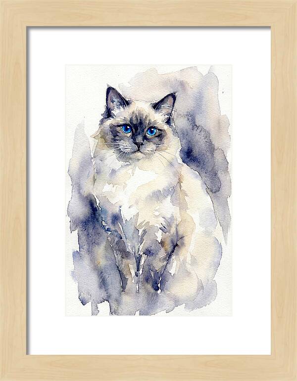 Ragdoll Cat Watercolor Portrait