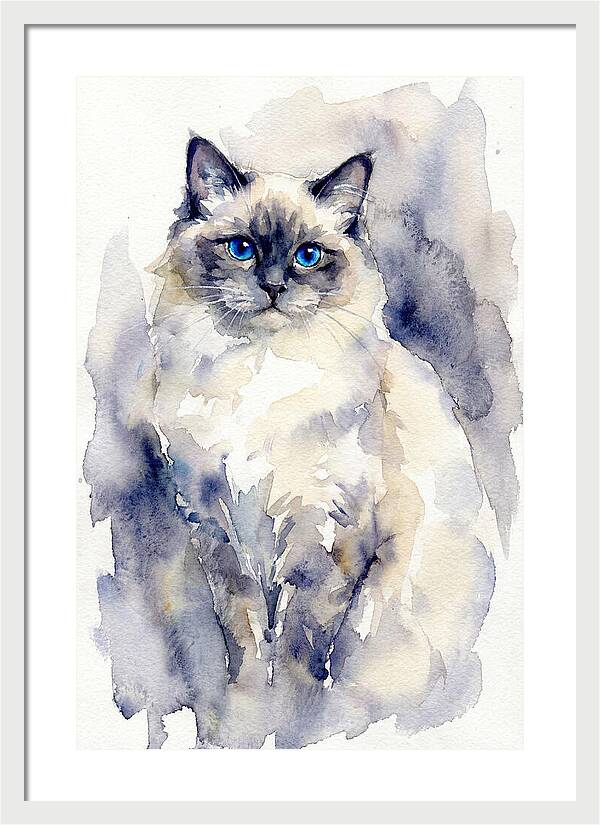 Ragdoll Cat Watercolor Portrait