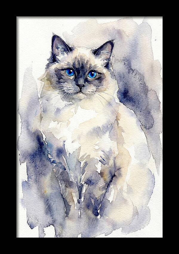 Ragdoll Cat Watercolor Portrait