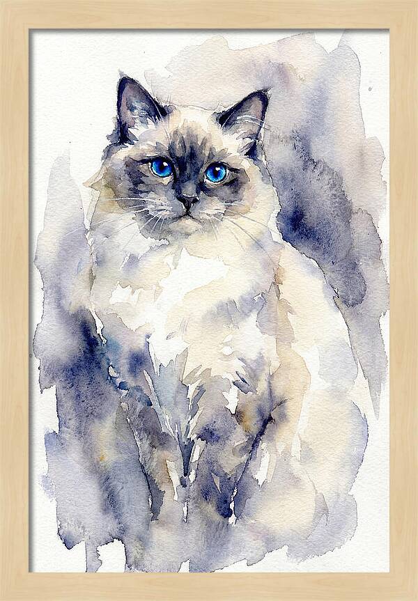 Ragdoll Cat Watercolor Portrait