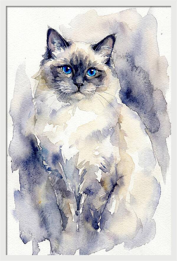 Ragdoll Cat Watercolor Portrait
