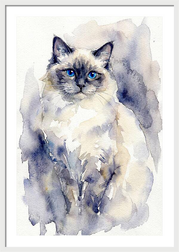 Ragdoll Cat Watercolor Portrait