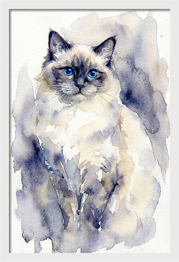Ragdoll Cat Watercolor Portrait