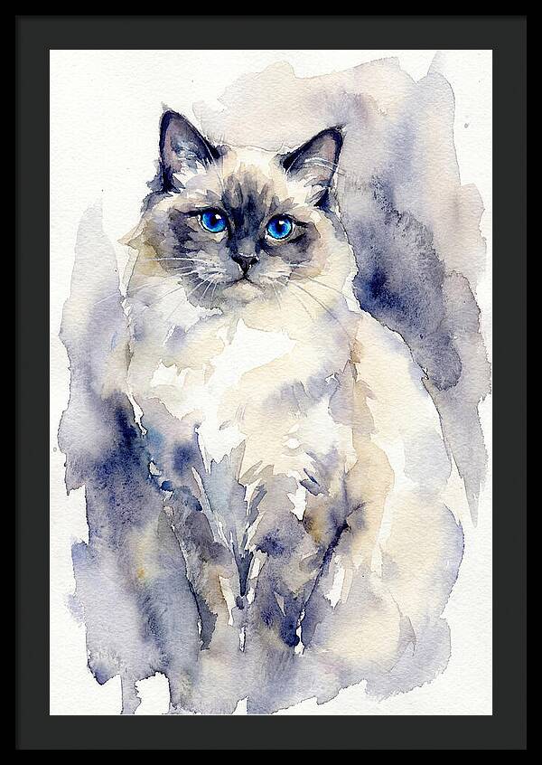 Ragdoll Cat Watercolor Portrait