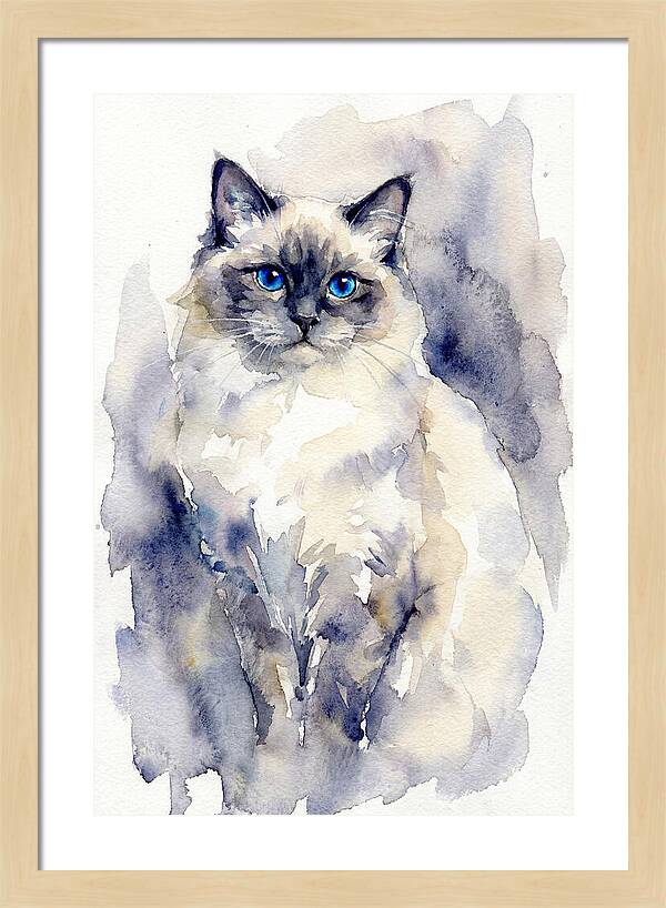 Ragdoll Cat Watercolor Portrait