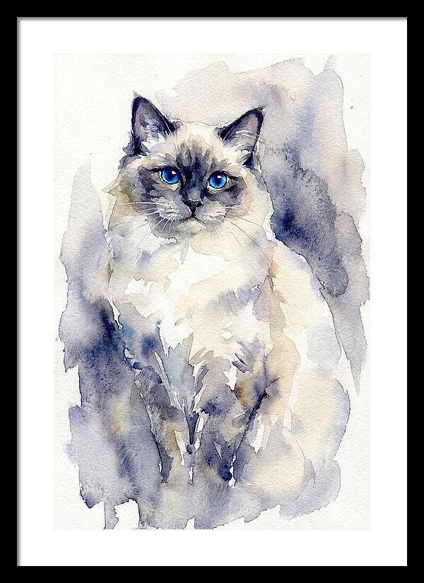 Ragdoll Cat Watercolor Portrait