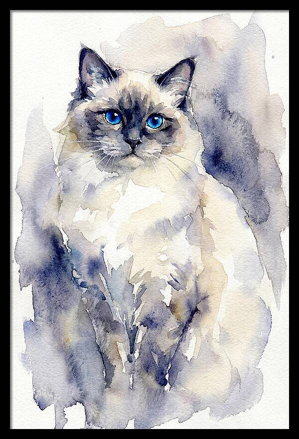 Ragdoll Cat Watercolor Portrait