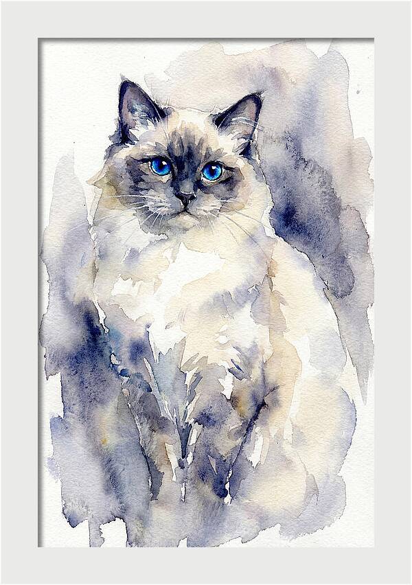 Ragdoll Cat Watercolor Portrait