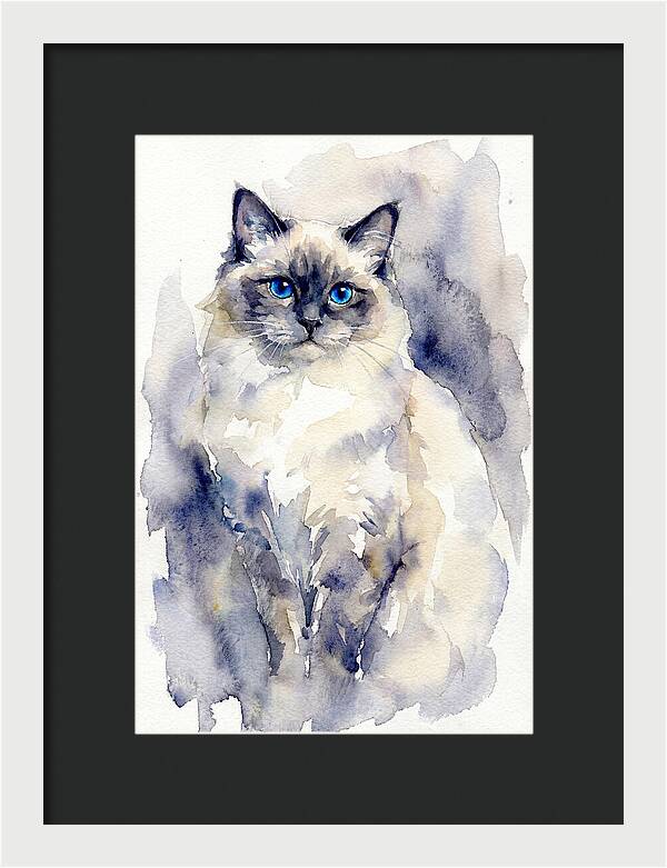 Ragdoll Cat Watercolor Portrait