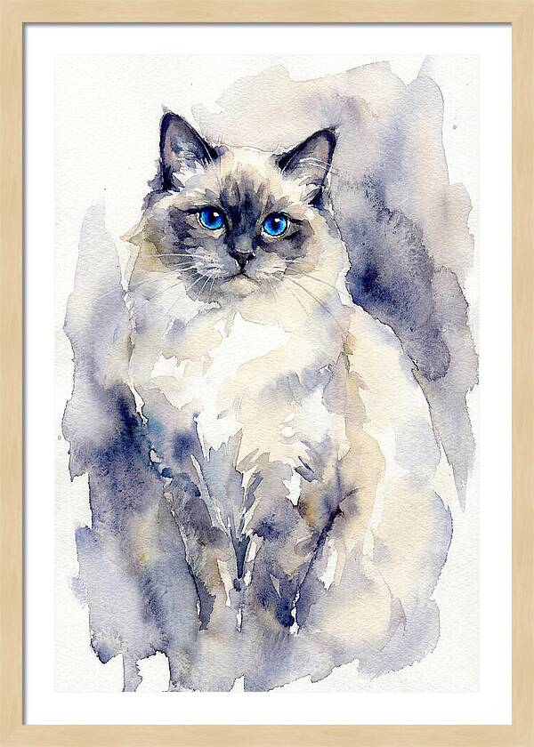 Ragdoll Cat Watercolor Portrait
