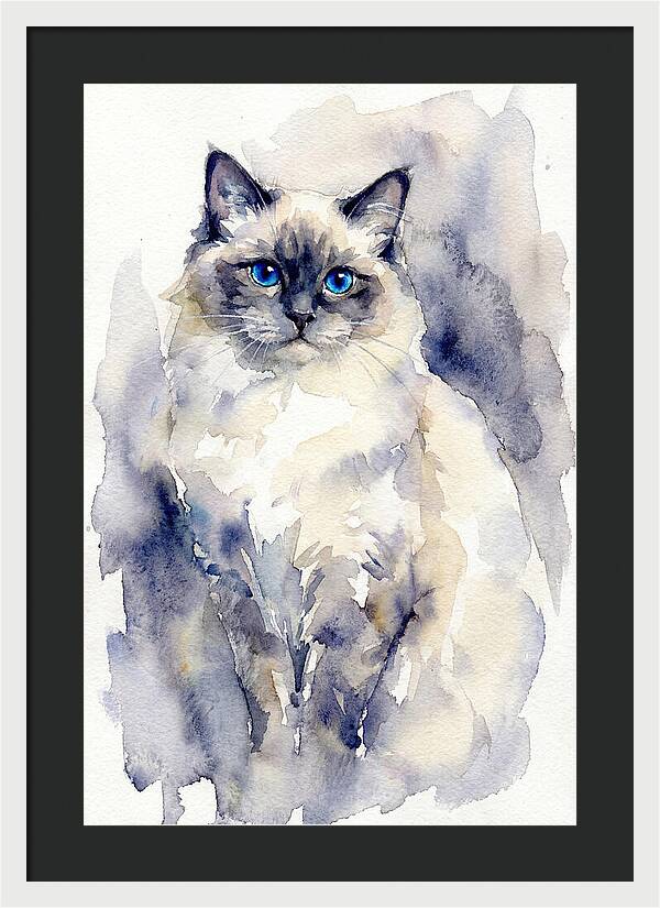 Ragdoll Cat Watercolor Portrait