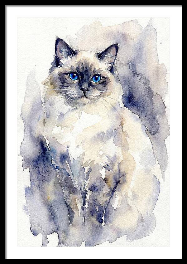 Ragdoll Cat Watercolor Portrait