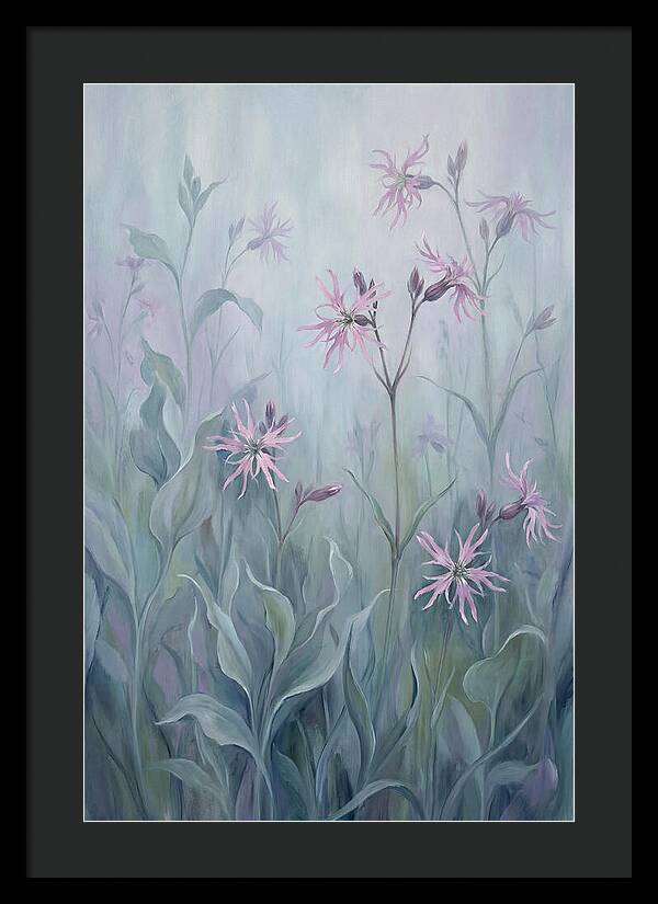 Ragged Robin Blossoms In Mist