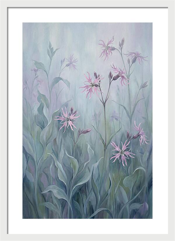Ragged Robin Blossoms In Mist