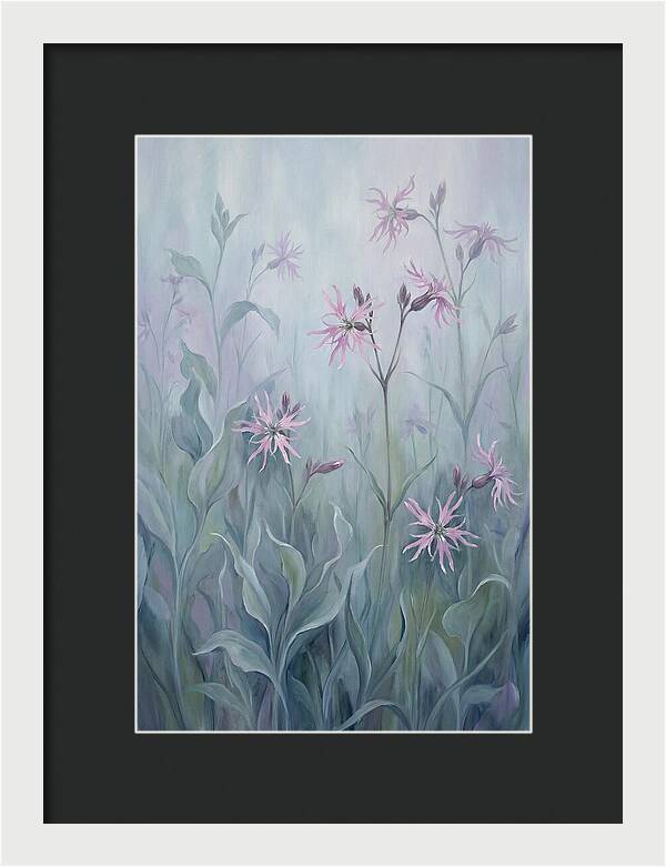 Ragged Robin Blossoms In Mist