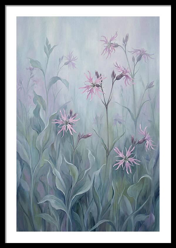 Ragged Robin Blossoms In Mist