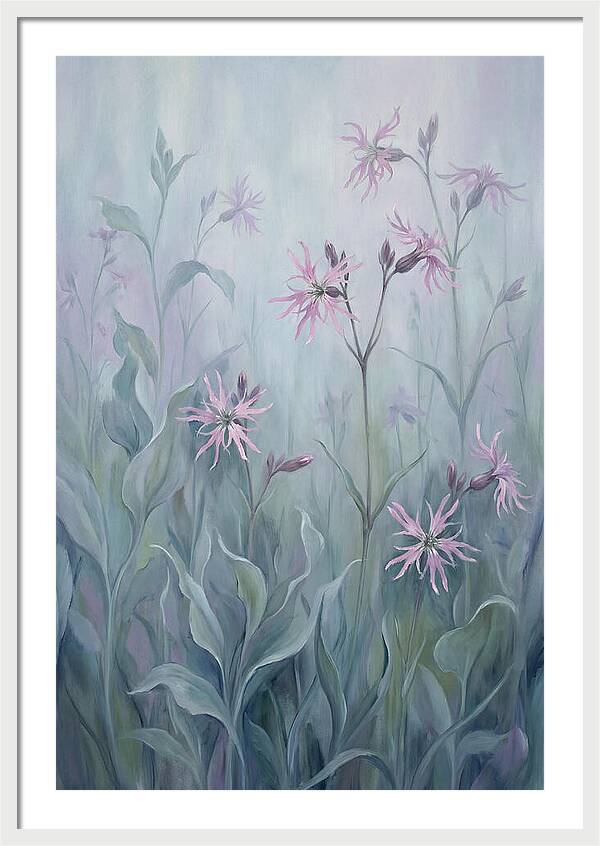 Ragged Robin Blossoms In Mist