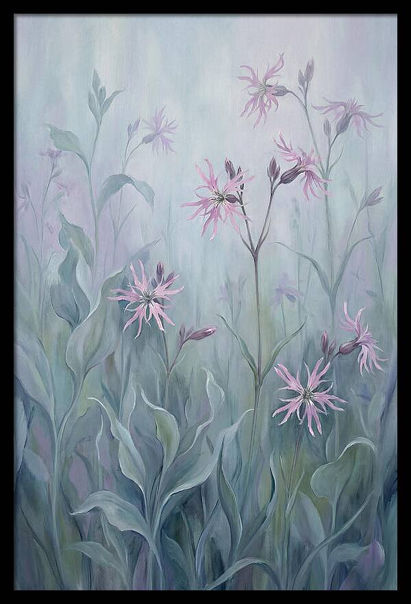 Ragged Robin Blossoms In Mist
