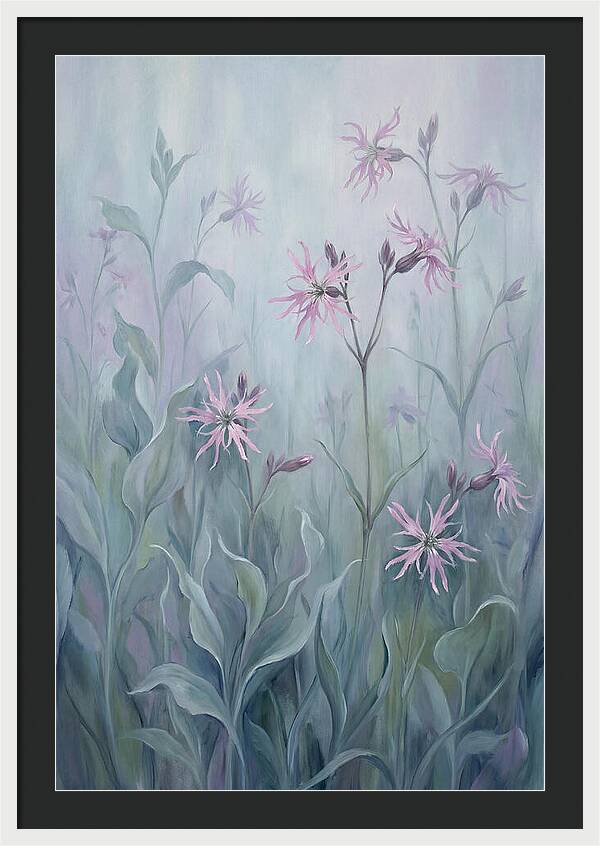 Ragged Robin Blossoms In Mist