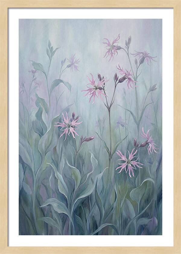 Ragged Robin Blossoms In Mist