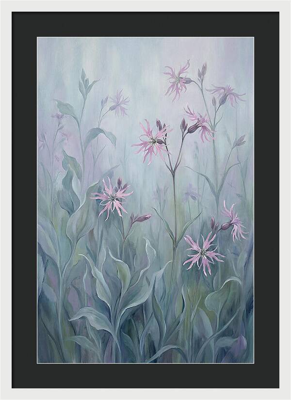Ragged Robin Blossoms In Mist