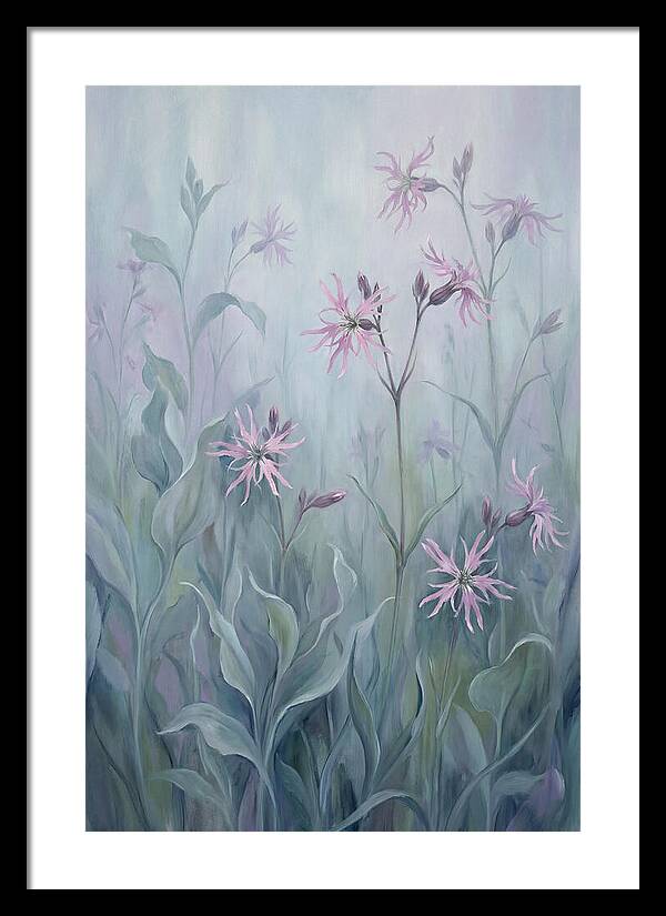 Ragged Robin Blossoms In Mist