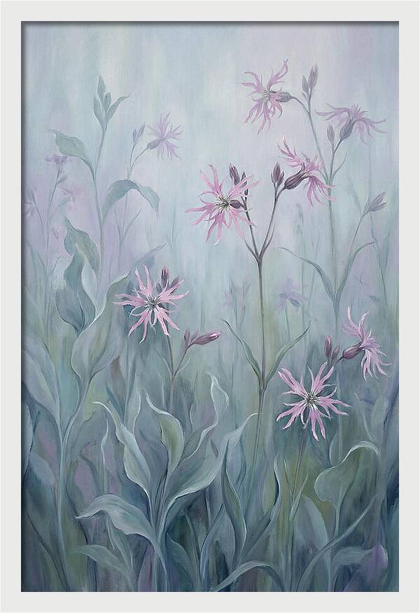 Ragged Robin Blossoms In Mist