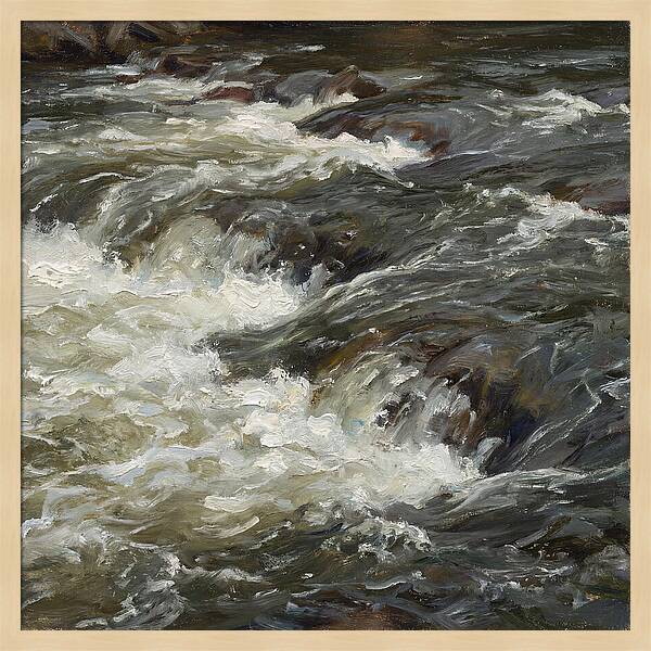 Raging White Water Rapids