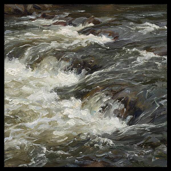 Raging White Water Rapids