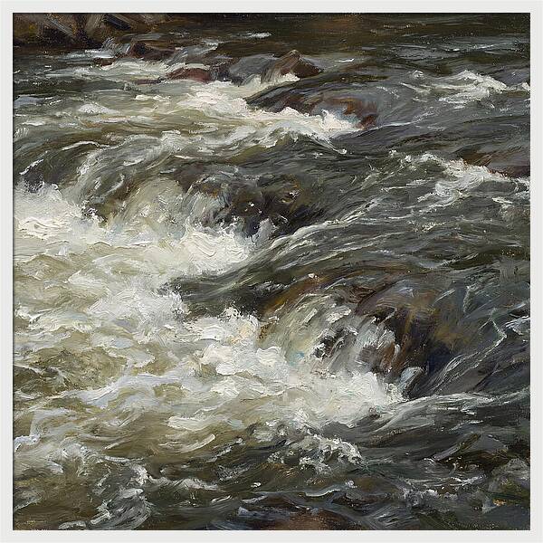 Raging White Water Rapids