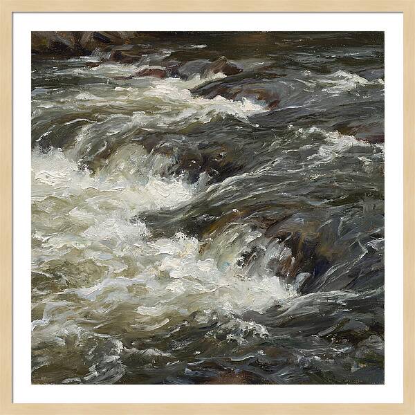 Raging White Water Rapids